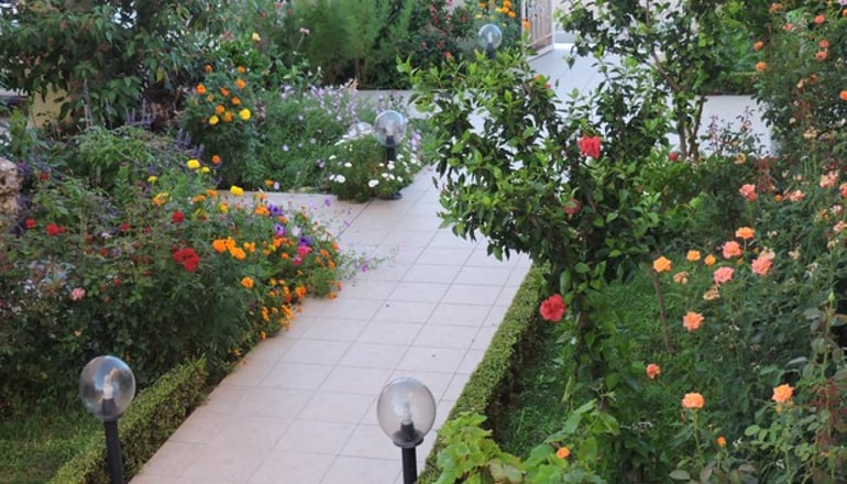 Golden Rose Suites - Κολυμβάρι, Χανιά, Κρήτη